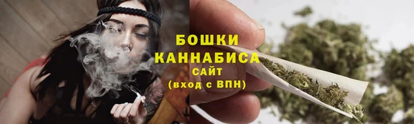 PSILOCYBIN Михайловск