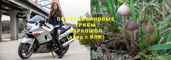 стафф Михайлов