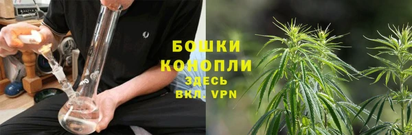 ГАЛЛЮЦИНОГЕННЫЕ ГРИБЫ Михайловка