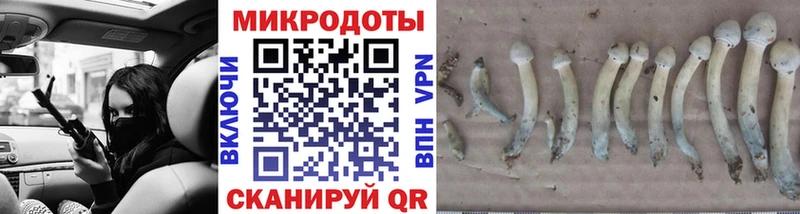 Псилоцибиновые грибы Psilocybine cubensis  где купить наркотик  Новокузнецк 